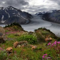 Blick auf einen gigantischen Gletscher