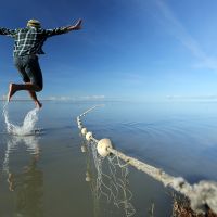 Die Beringsee - Freiheit