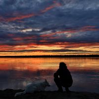 Am Yukon - dem großen, weiten Fluss