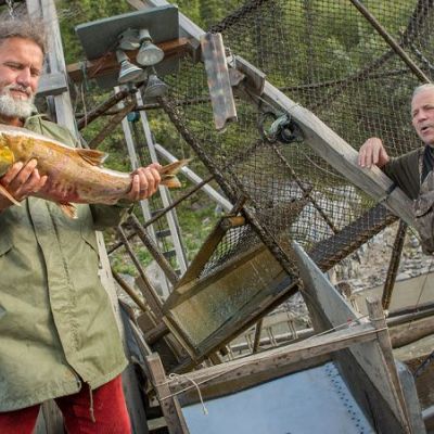 Foto_Ramona_Goldstein (4).jpg